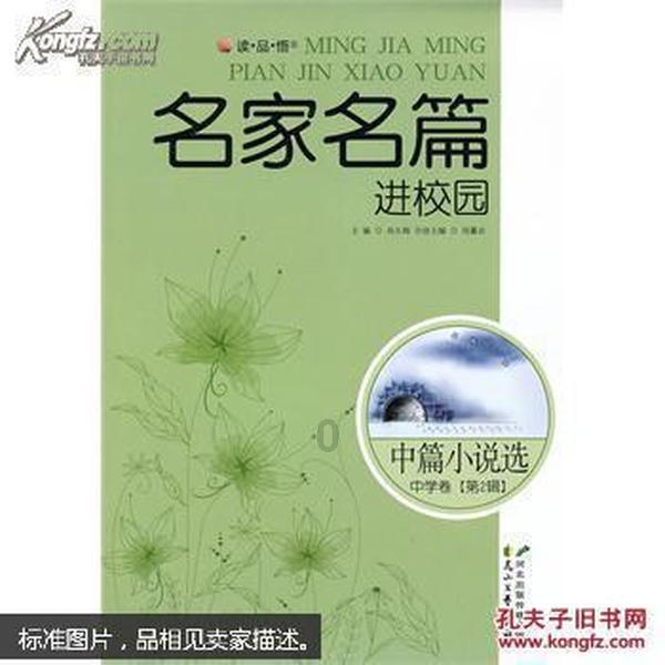 爱与痛的交织:婚姻背后的真相